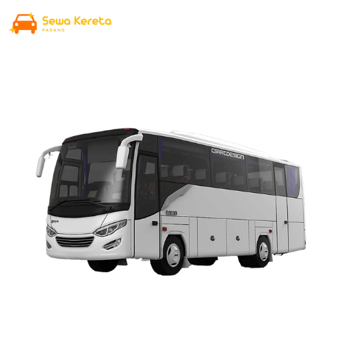 Medium Bus